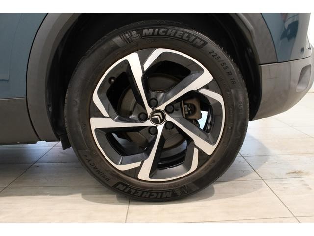 25241025_carP_l_6.jpg