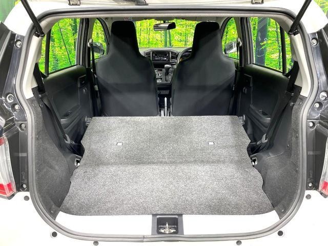 24706504_carP_l_2.jpg