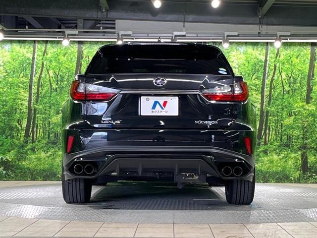 25811490_carP_l_9.jpg
