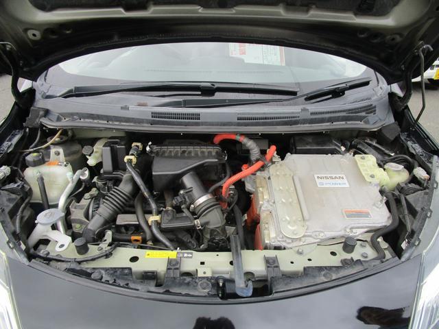 19766285_carP_l_18.jpg