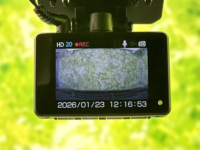 21821853_carP_l_8.jpg