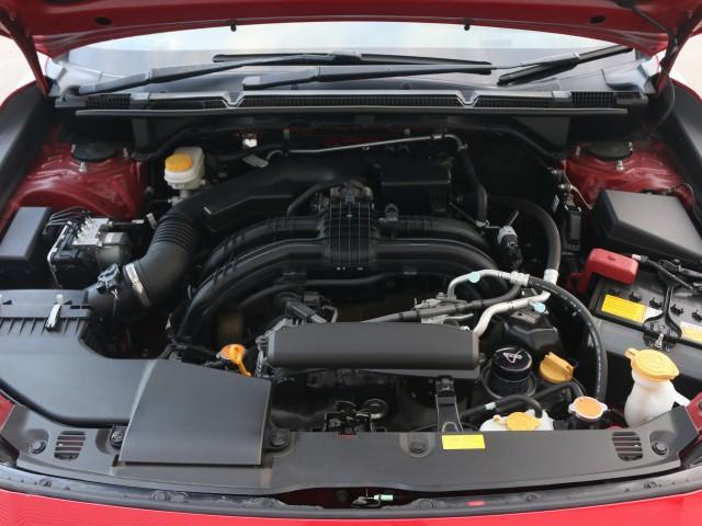 24040023_carP_l_17.jpg