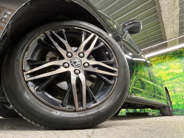 26882228_carP_l_8.jpg
