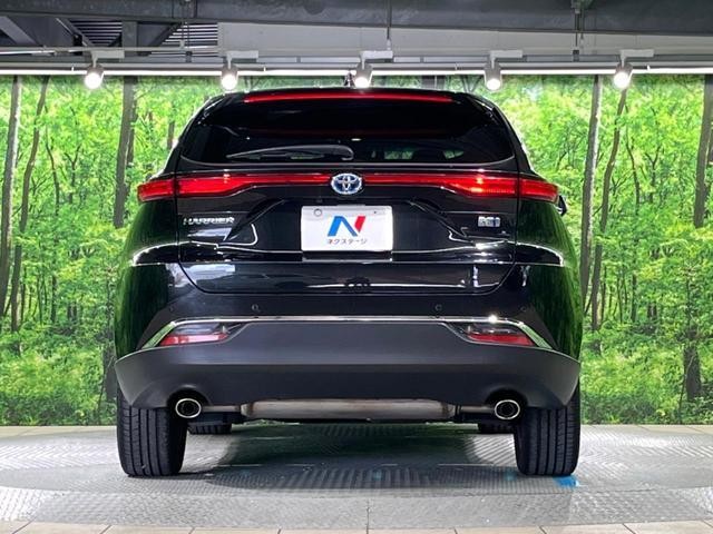 24360363_carP_l_9.jpg