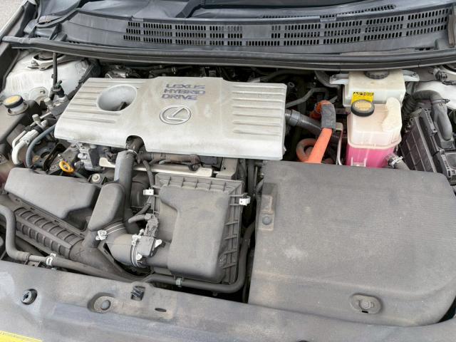 23325745_carP_l_12.jpg