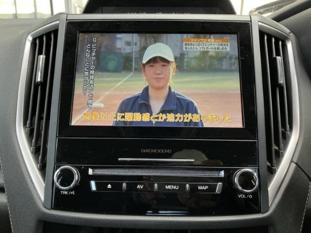 26064636_carP_l_5.jpg