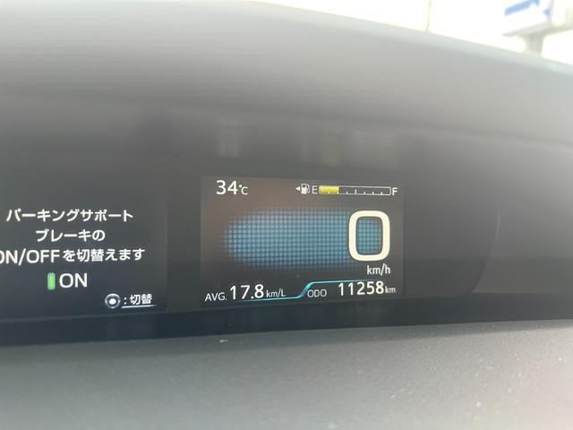 25673056_carP_l_13.jpg