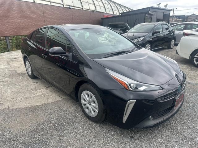 25673056_carP_l_7.jpg