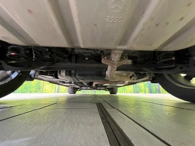 24685883_carP_l_18.jpg