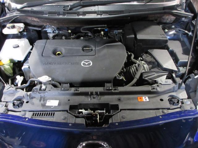 20171471_carP_l_20.jpg