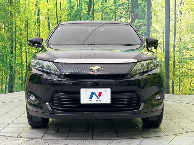 23054274_carP_l_8.jpg