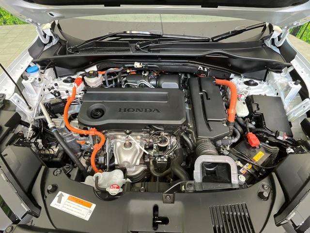 23054278_carP_l_16.jpg