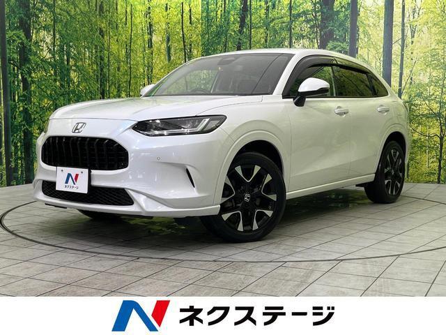 20450404_carP_l_1.jpg