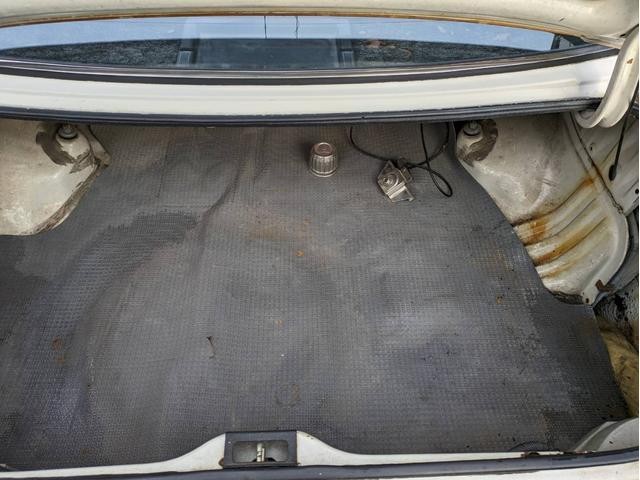 21741588_carP_l_10.jpg