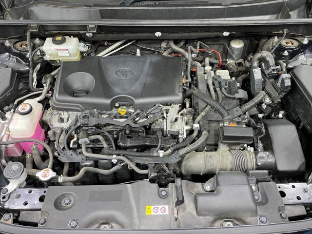 23735114_carP_l_16.jpg