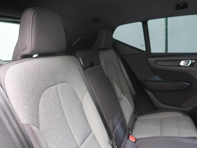 26773647_carP_l_17.jpg