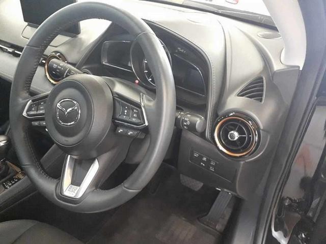 25215060_carP_l_15.jpg