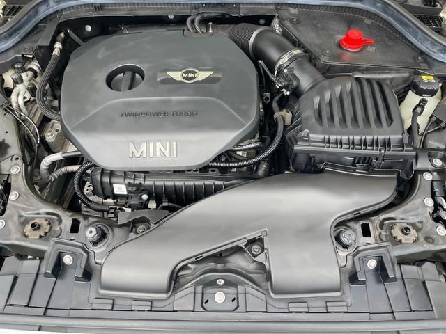 22850119_carP_l_12.jpg