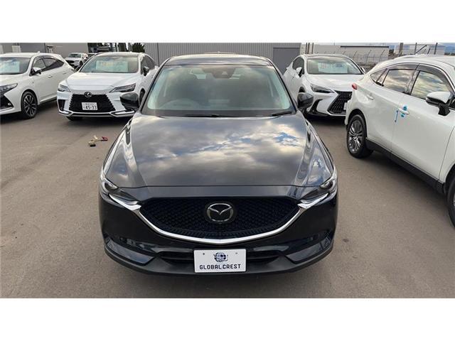 20803561_carP_l_15.jpg
