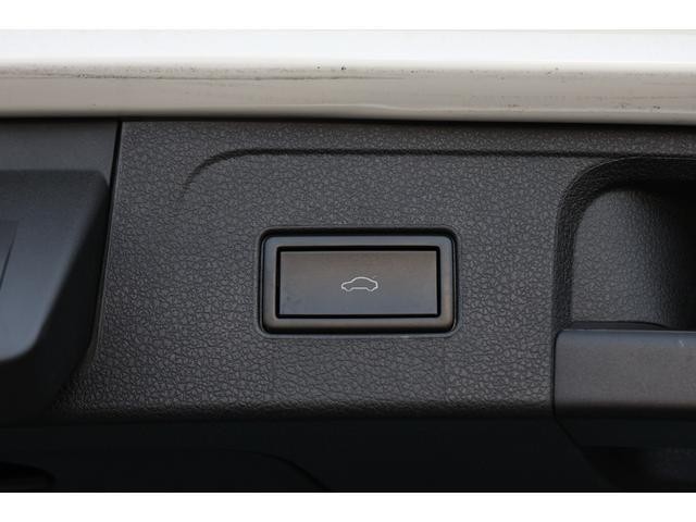 23980264_carP_l_11.jpg