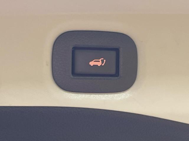 24089864_carP_l_13.jpg