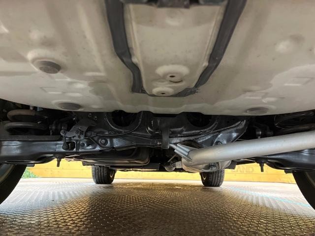 24340385_carP_l_18.jpg