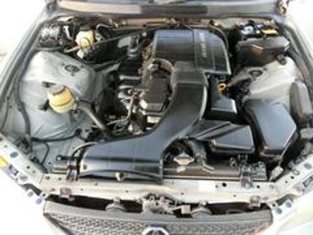 17948625_carP_l_12.jpg