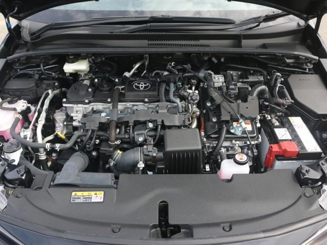 25968423_carP_l_17.jpg