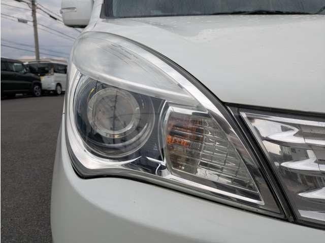 24643445_carP_l_17.jpg