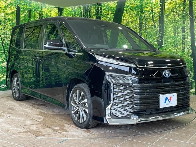 25284121_carP_l_12.jpg