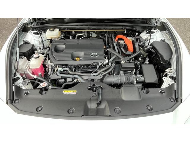 0204310A20261016W00109.jpg
