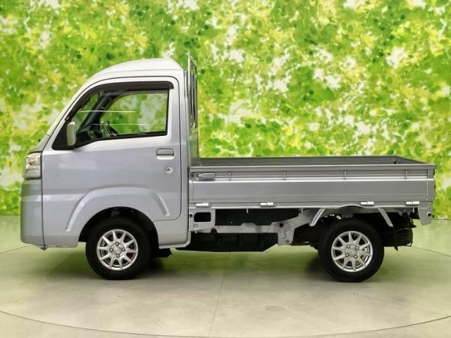 24245097_carP_l_3.jpg