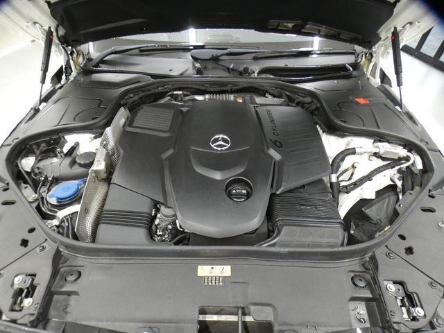 26967958_carP_l_18.jpg