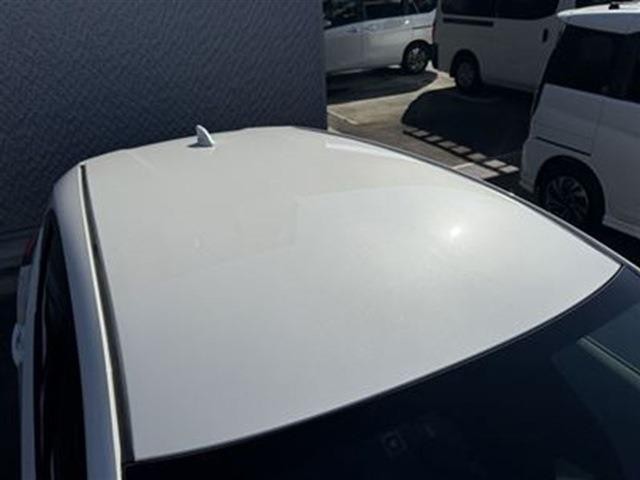 26853959_carP_l_2.jpg