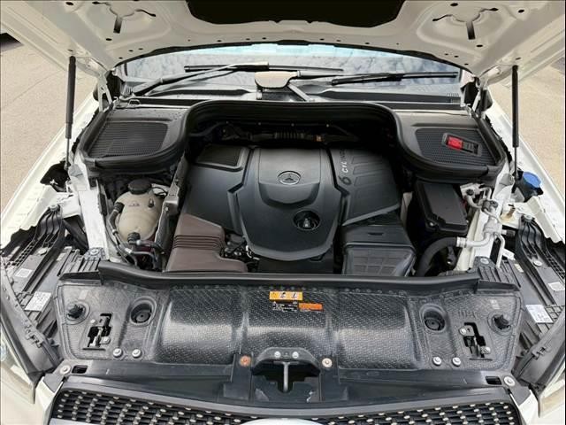 23451527_carP_l_6.jpg