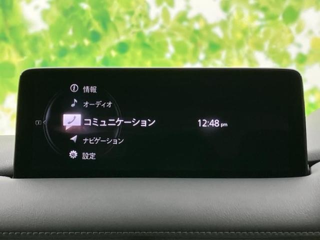 23482878_carP_l_19.jpg