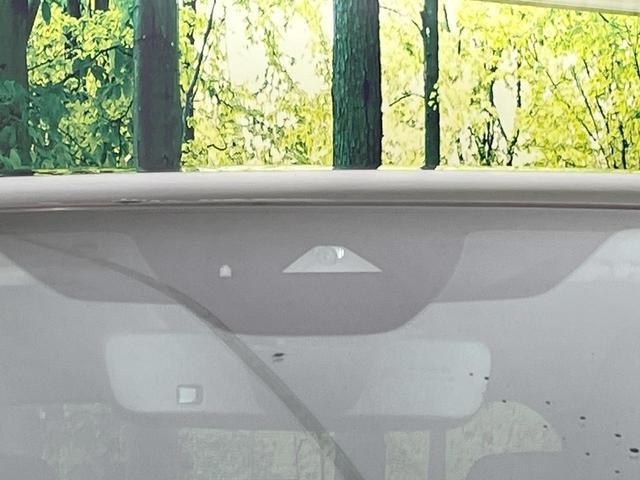 24912599_carP_l_10.jpg