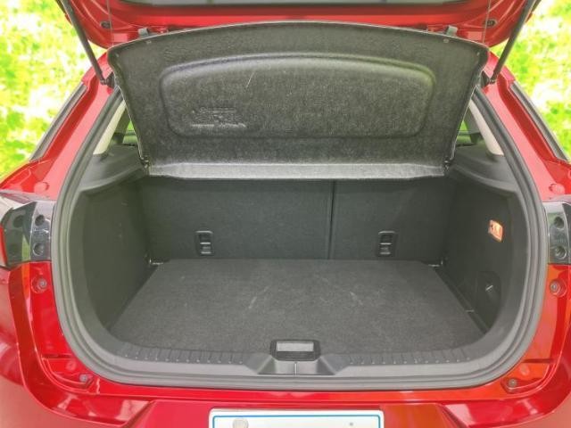 23482899_carP_l_17.jpg