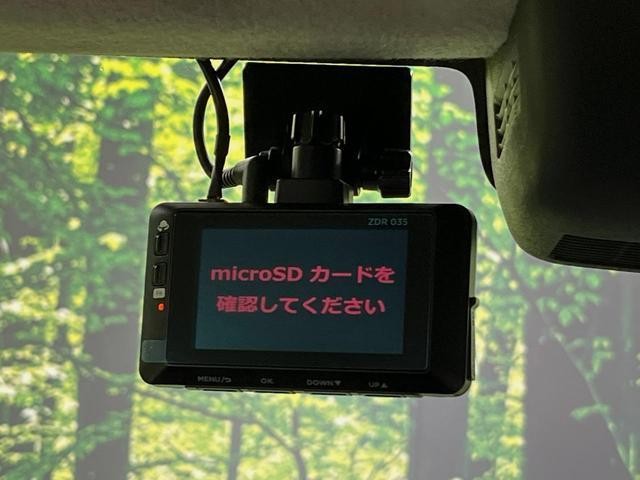 25283778_carP_l_13.jpg