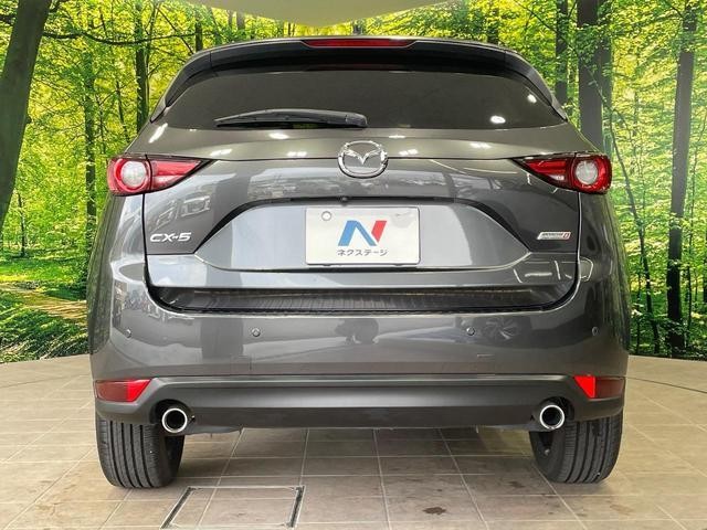 24155829_carP_l_9.jpg