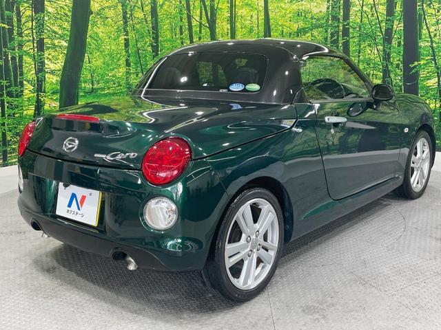 22800369_carP_l_12.jpg