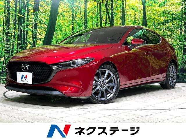 24869134_carP_l_1.jpg