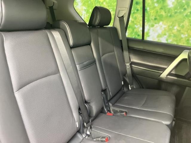 24467187_carP_l_10.jpg