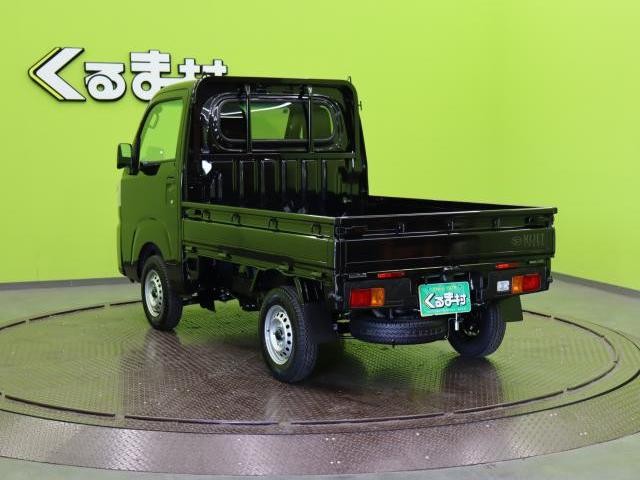 22052439_carP_l_9.jpg