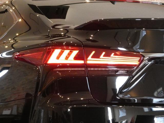 27161277_carP_l_4.jpg