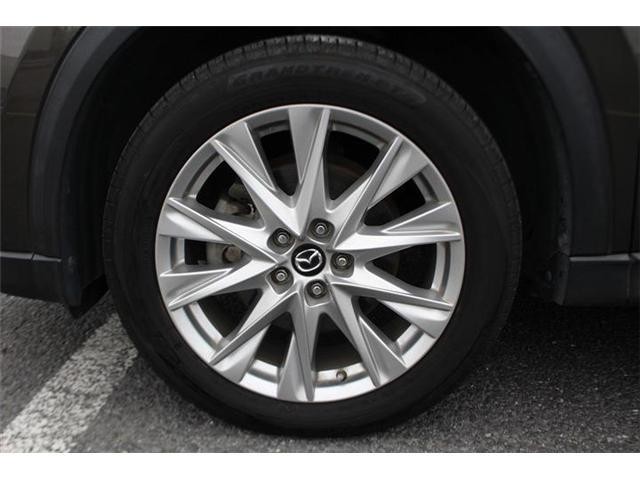 24435284_carP_l_18.jpg