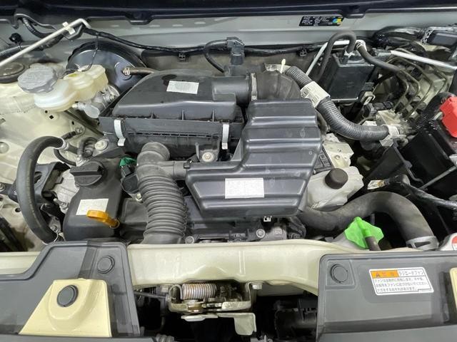 24199904_carP_l_16.jpg
