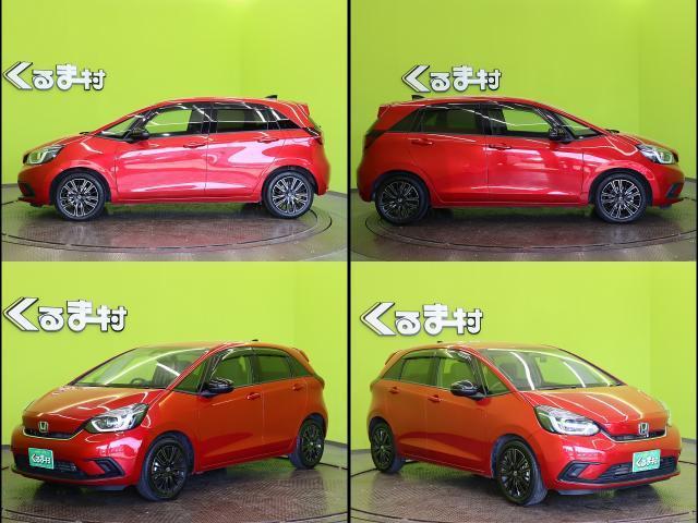 22499729_carP_l_11.jpg