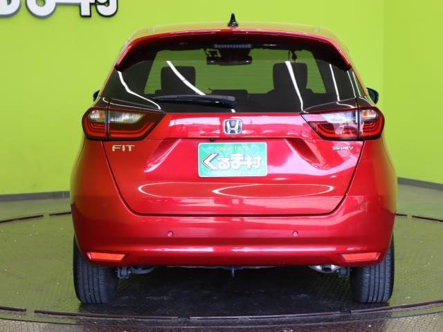 22499729_carP_l_18.jpg