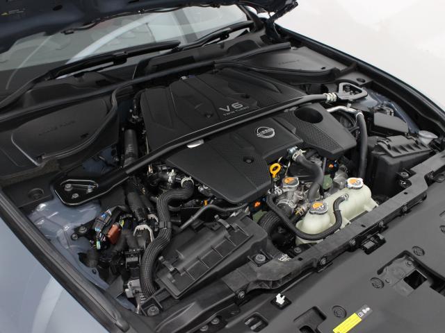 23996436_carP_l_20.jpg